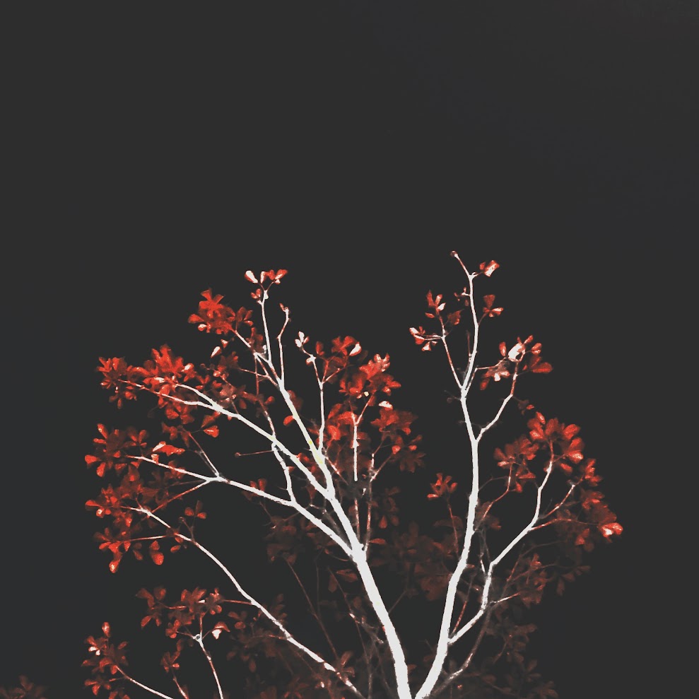 There are many things to talk&nbsp;about