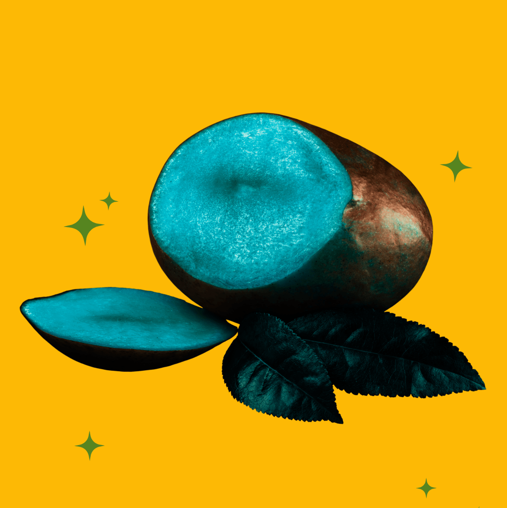 Pé de manga&nbsp;podre